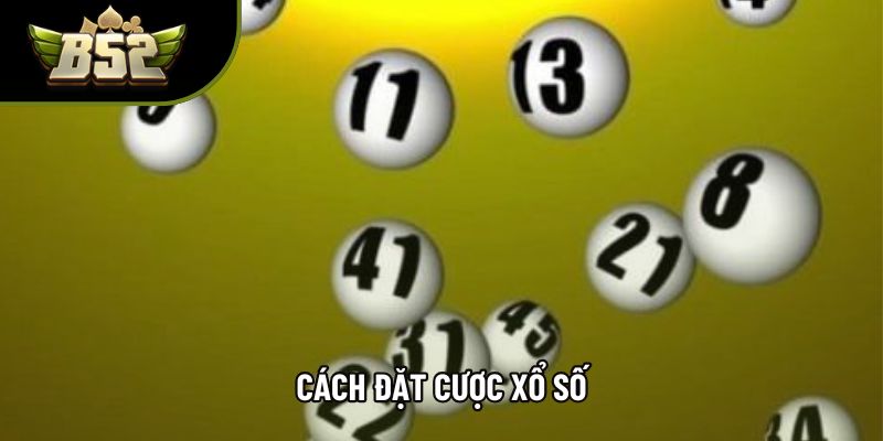 Cách Đặt Cược Xổ Số Chuẩn Xác Từ Cơ Bản Đến Chi Tiết
