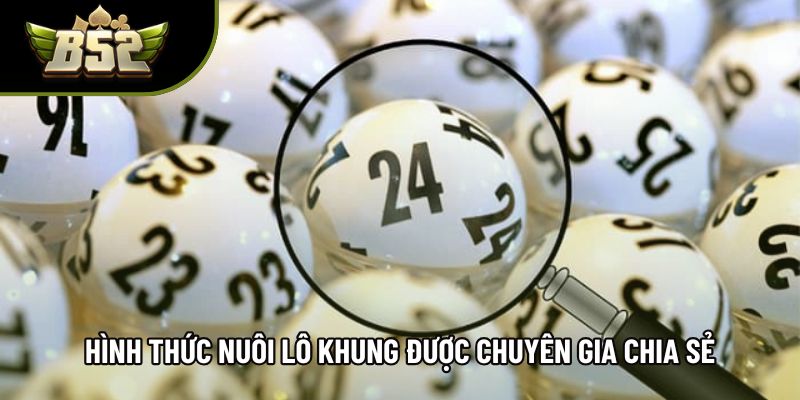 Hình thức nuôi lô khung được chuyên gia chia sẻ